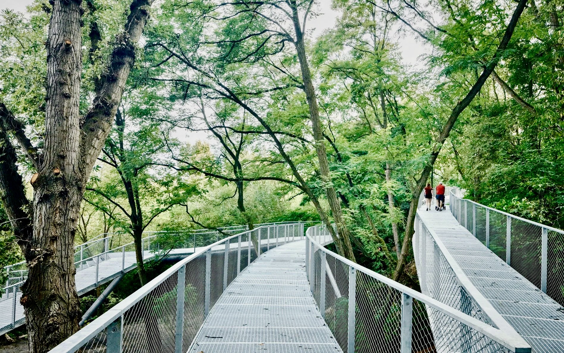 Design, historia i ekologia